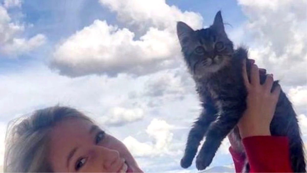 Belçikalı üniversite öğrencisinin Peru\'da sahiplendiği kedi için uyutma kararı