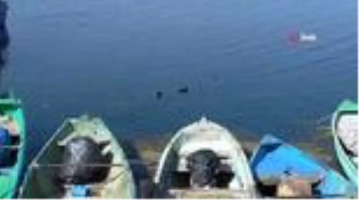 Beyşehir Gölü\'nde otomobil lastiğine yuva yapan sakarmekeler renkli görüntüler oluşturuyor