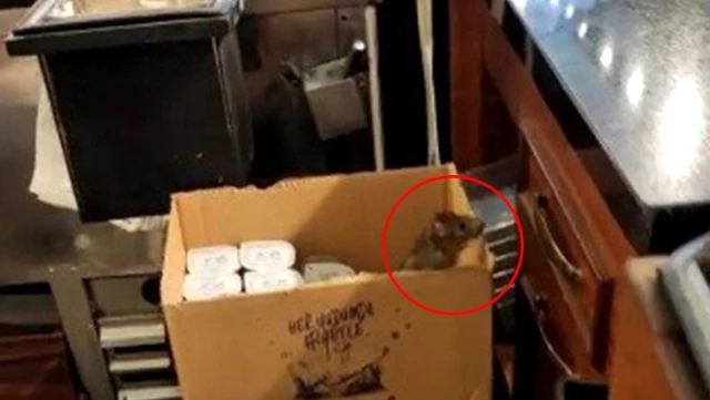 Denizli'nin ünlü tatlıcısında görüntülenen fare, sosyal medyada tepki çekti