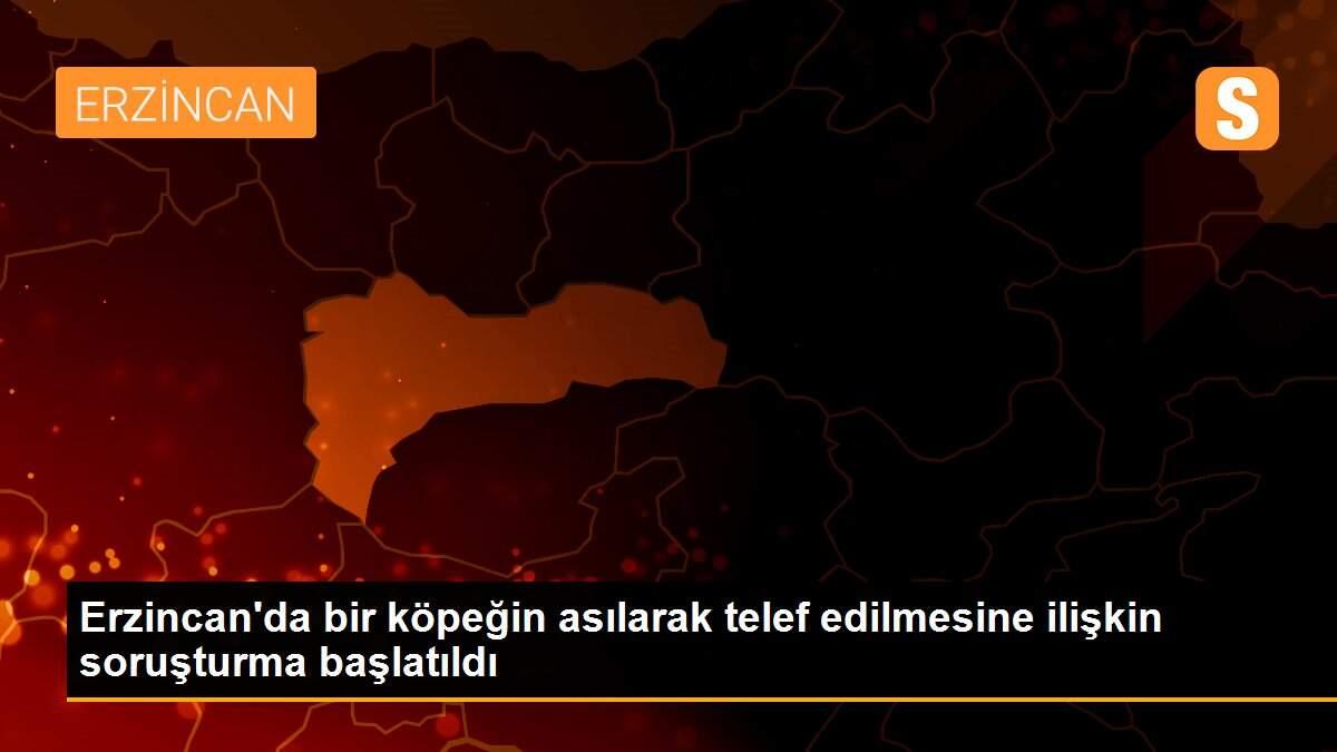 Erzincan\'da bir köpeğin asılarak telef edilmesine ilişkin soruşturma başlatıldı