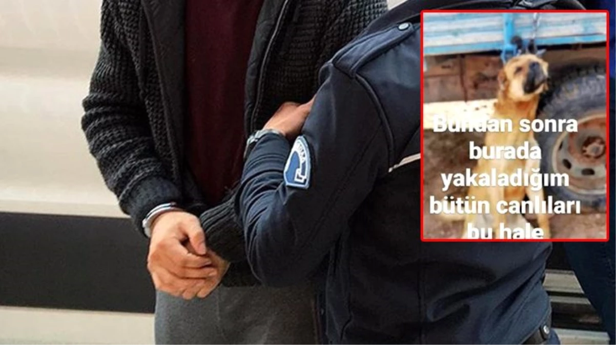 Erzincan\'da römorka asılı köpek fotoğrafı paylaşan şahıs gözaltına alındı