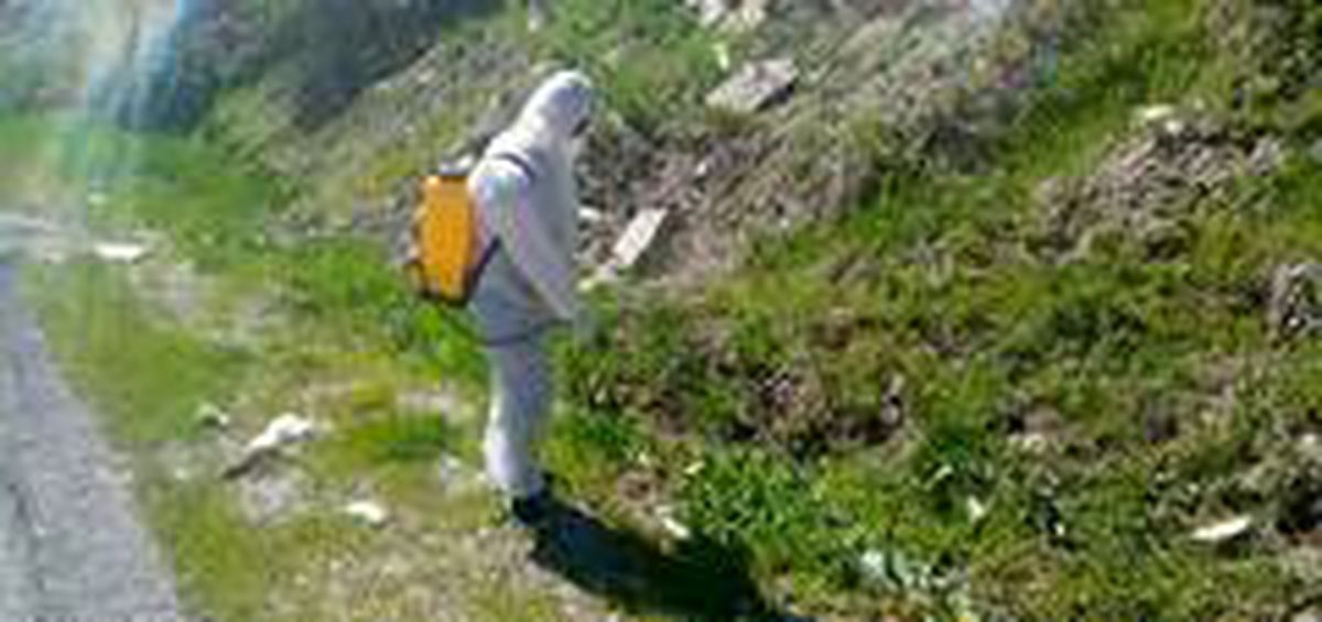 Hakkari\'de dere yatakları larvalara karşı ilaçlanıyor