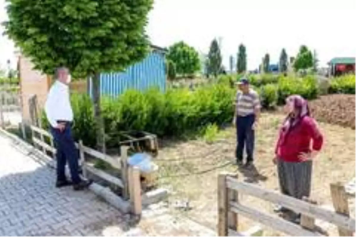 Meram hobi bahçelerinde ekim zamanı