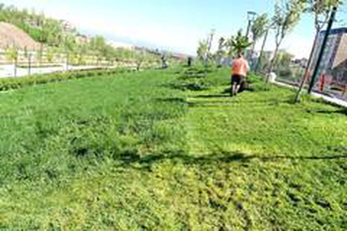 Parklarda bakım onarım çalışması