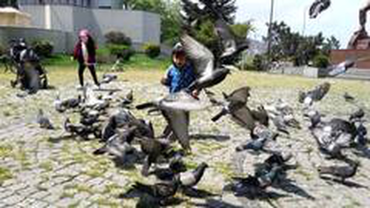 Zonguldak\'ta minikler parklara akın etti