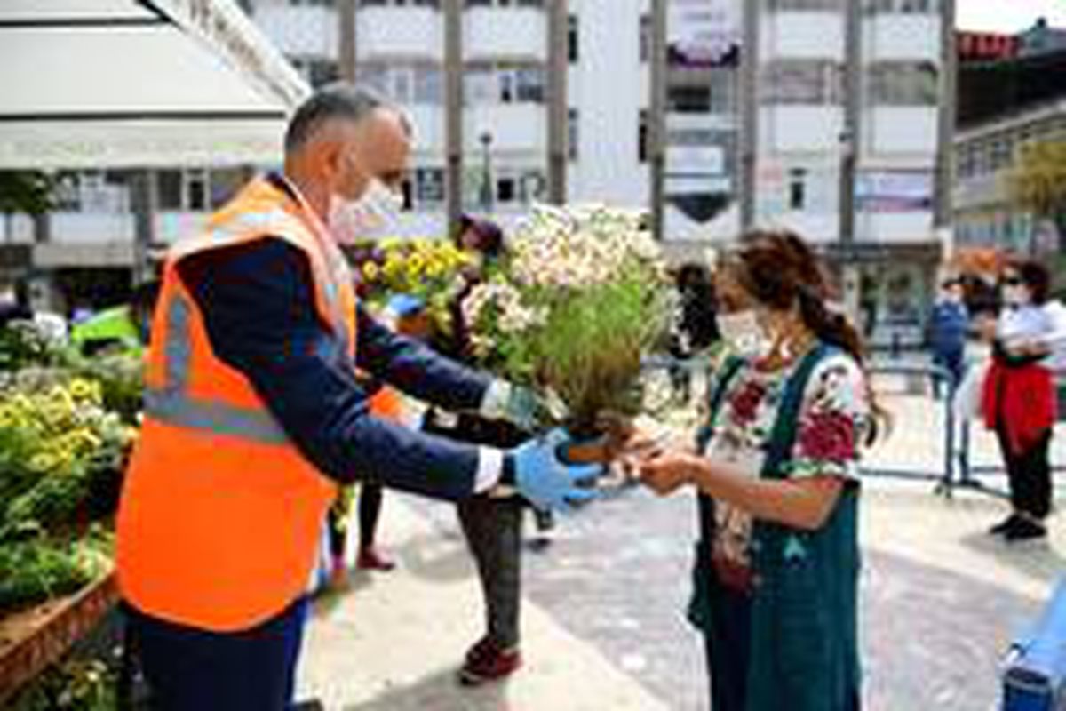 Altınordu\'da normale dönüş çiçekle başladı