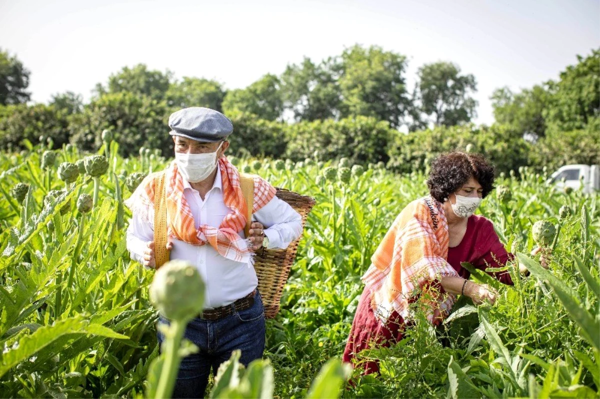 Başkan Soyer, Çiftçiler Günü\'nde sırtında küfeyle enginar hasadına katıldı