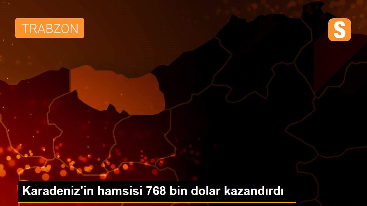 Karadeniz\'in hamsisi 768 bin dolar kazandırdı