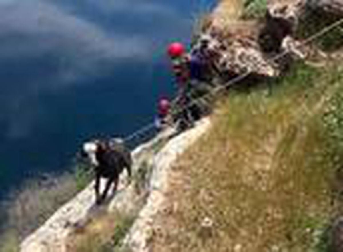 Kayalıklarda mahsur kalan keçiye halatlı kurtarma