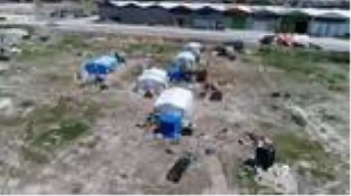 Tarım işçilerinin zorlu ekmek mücadelesi