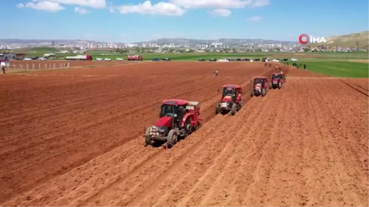 Vali traktör koltuğuna geçti, patates ve pancar ekti