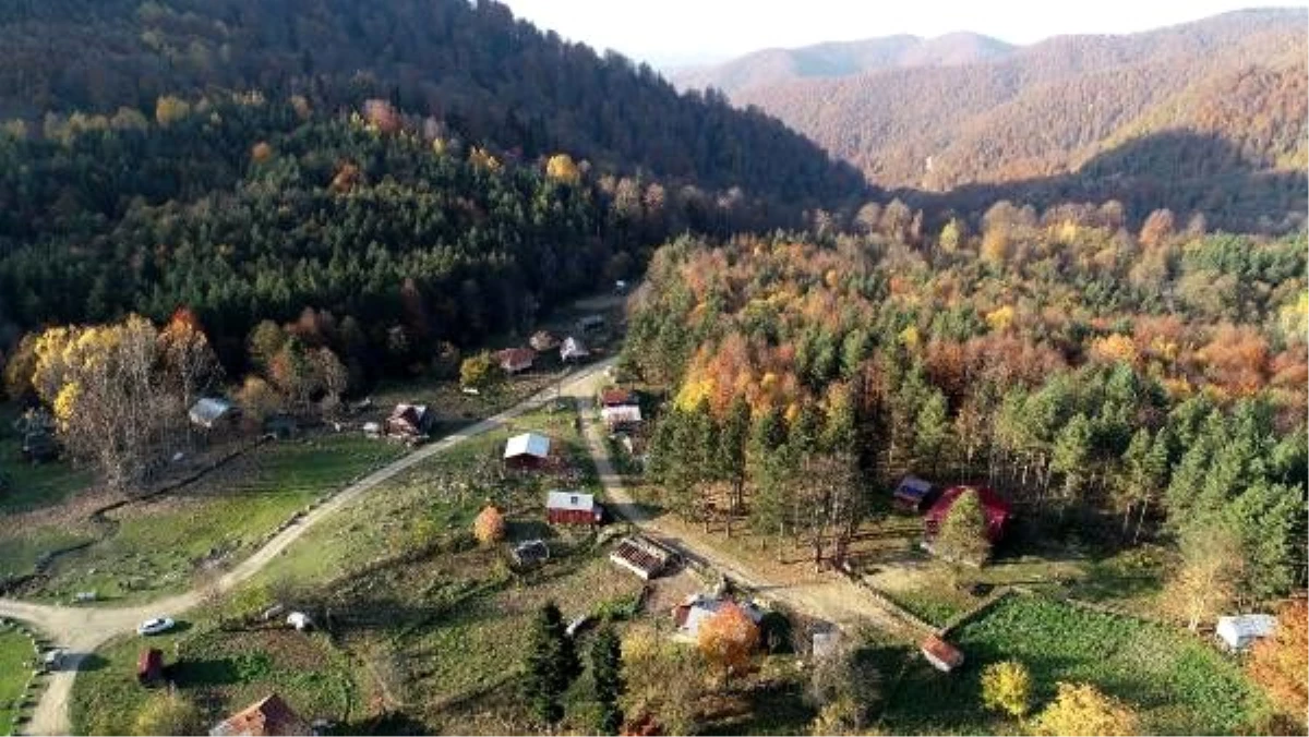 Zonguldak\'ın Gümeli beldesinde ilk vaka tespit edildi