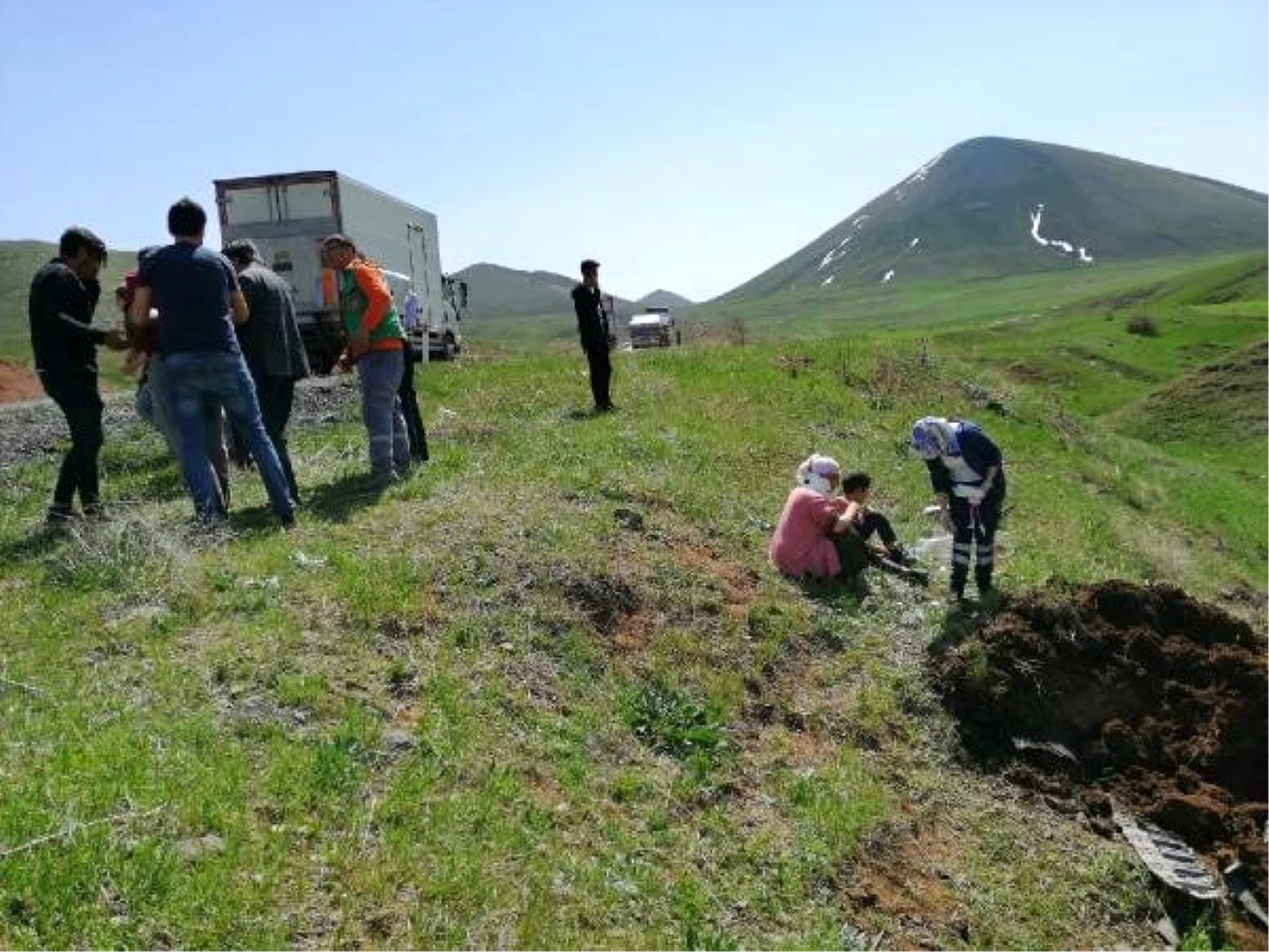 Ağrı\'da hafif ticari araç, şarampole uçtu: 6 yaralı