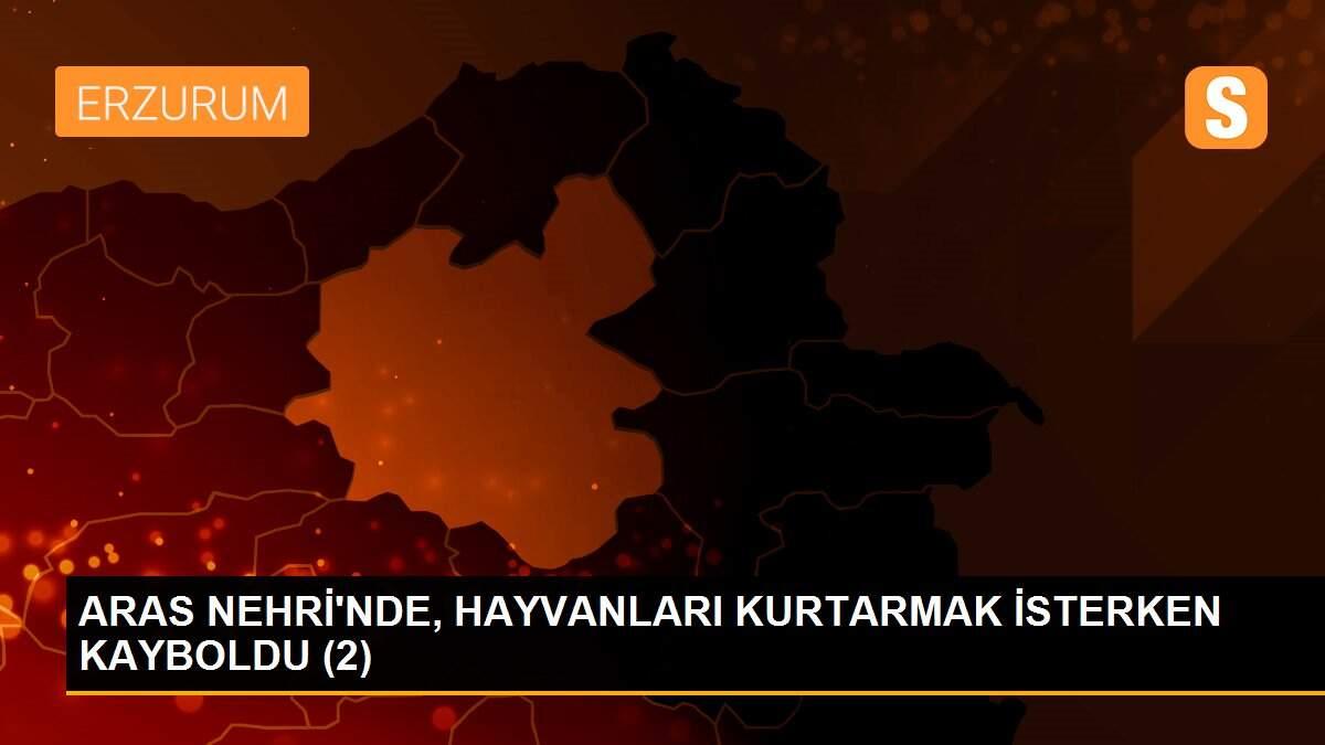 ARAS NEHRİ\'NDE, HAYVANLARI KURTARMAK İSTERKEN KAYBOLDU (2)