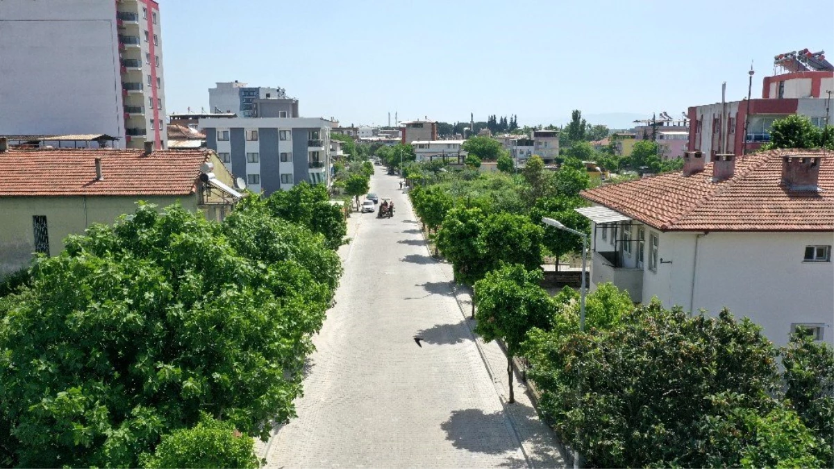 Aydın Büyükşehir Belediyesi, Umurlu\'da çalışmalarını sürdürüyor