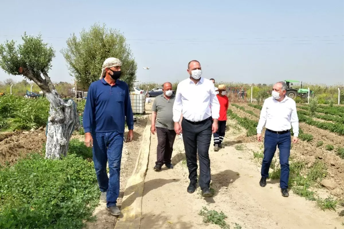 Başkan Gümrükçü, Çiftçiler Günü\'nü tarlada kutladı