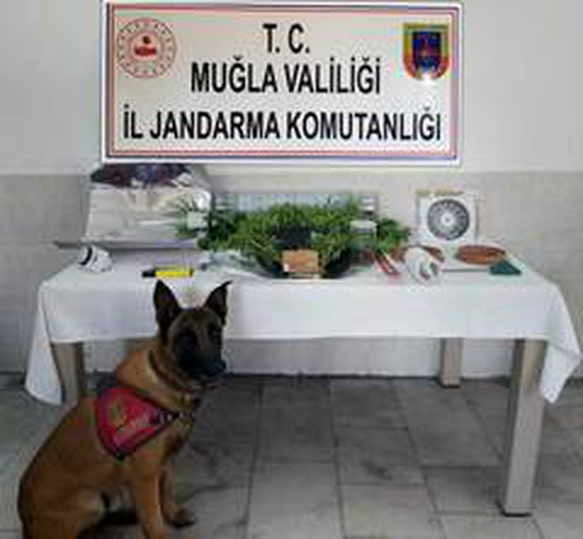 Dalyan\'da uyuşturucu imalathanesine operasyon