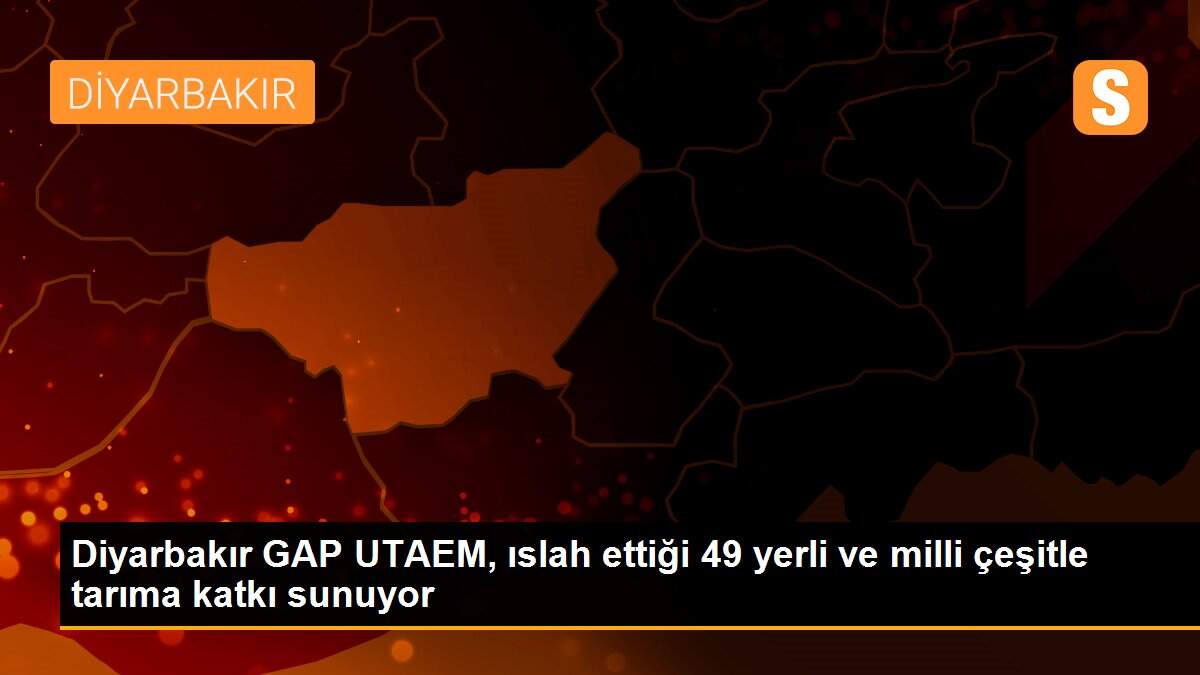 Diyarbakır GAP UTAEM, ıslah ettiği 49 yerli ve milli çeşitle tarıma katkı sunuyor