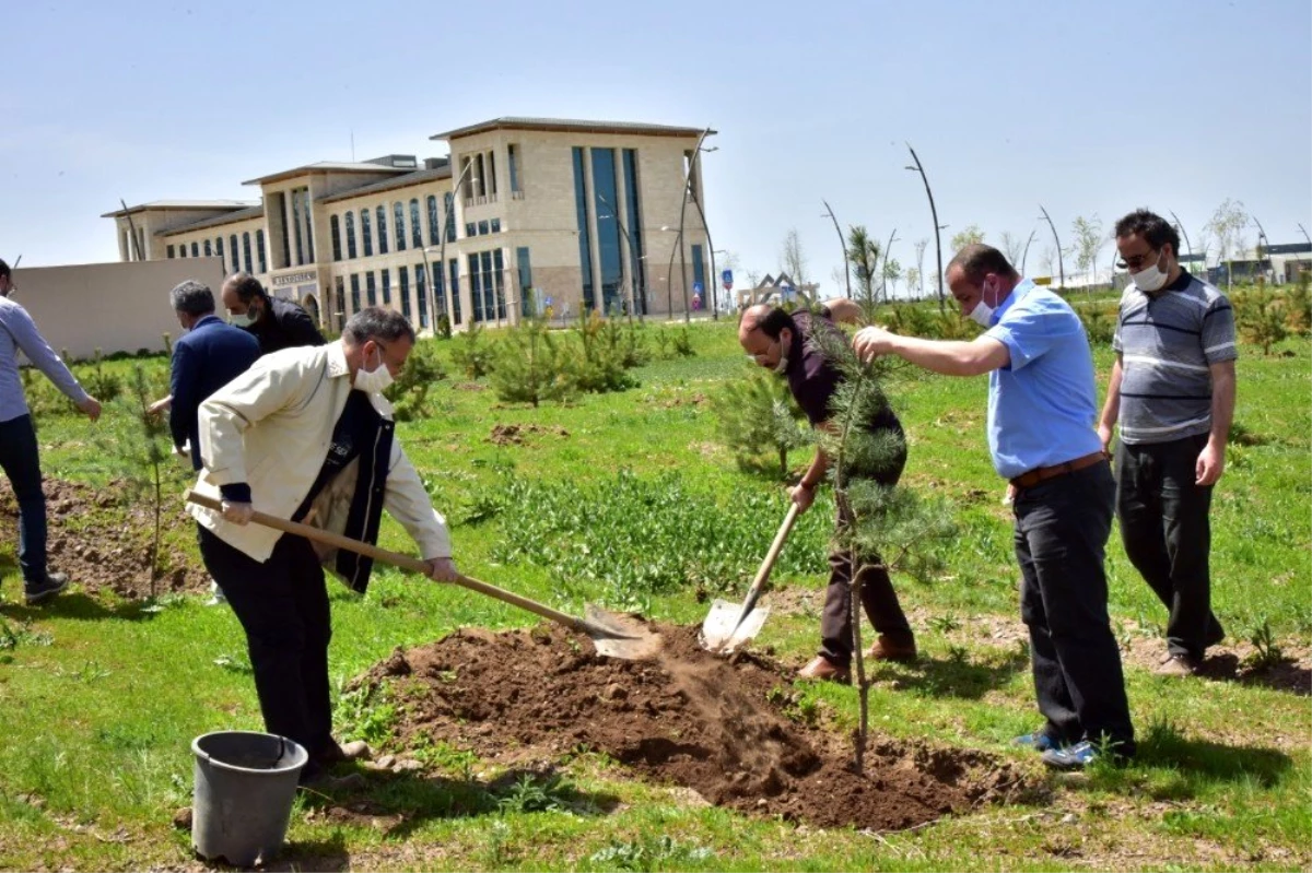 ETÜ\'de yeni fidanlar can buldu