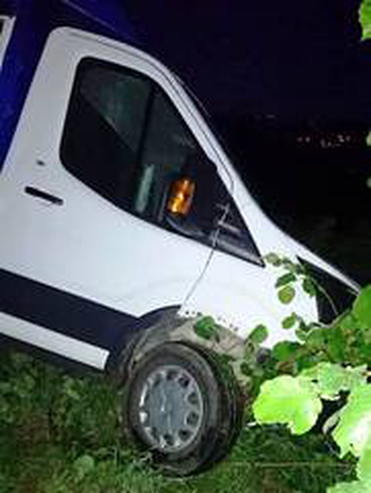 Kamyonet fındık bahçesine yuvarlandı: 1 yaralı