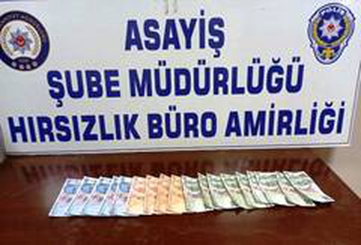 Muğla\'daki dolandırıcılık, Aydın\'da son buldu