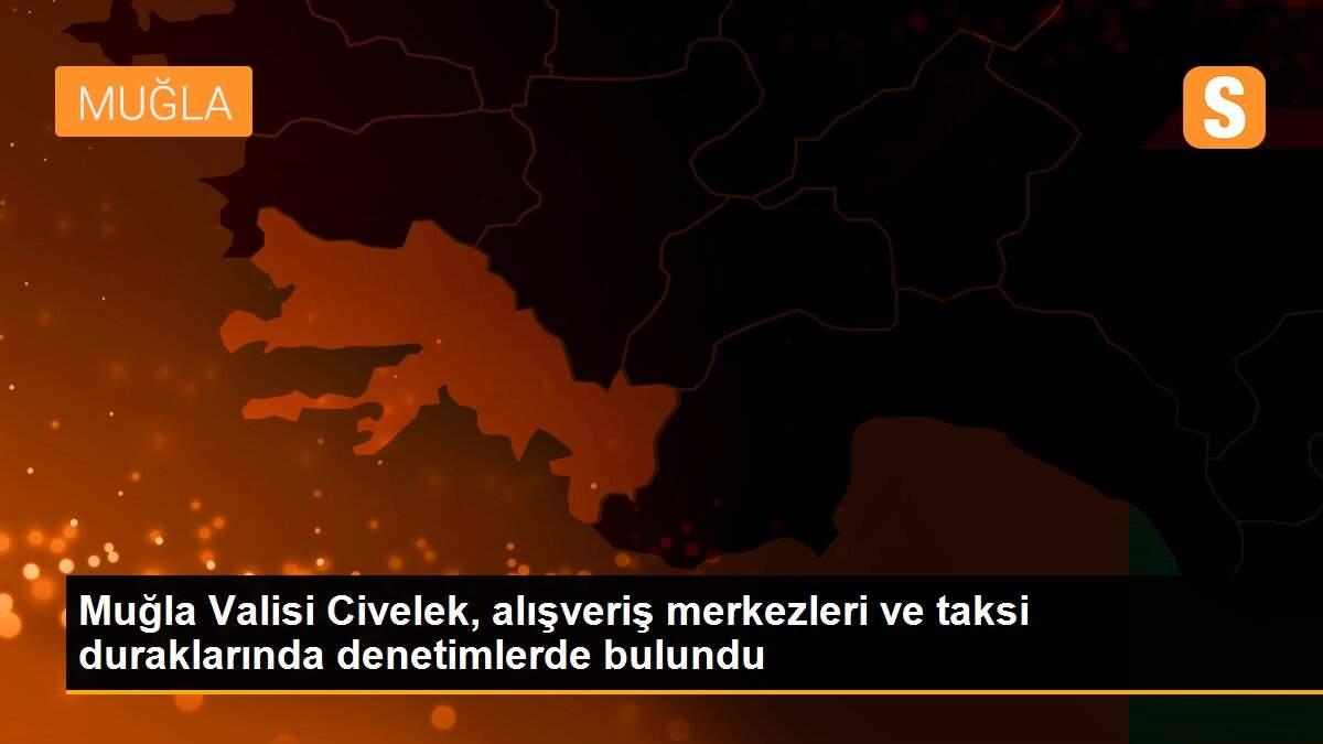 Muğla Valisi Civelek, alışveriş merkezleri ve taksi duraklarında denetimlerde bulundu