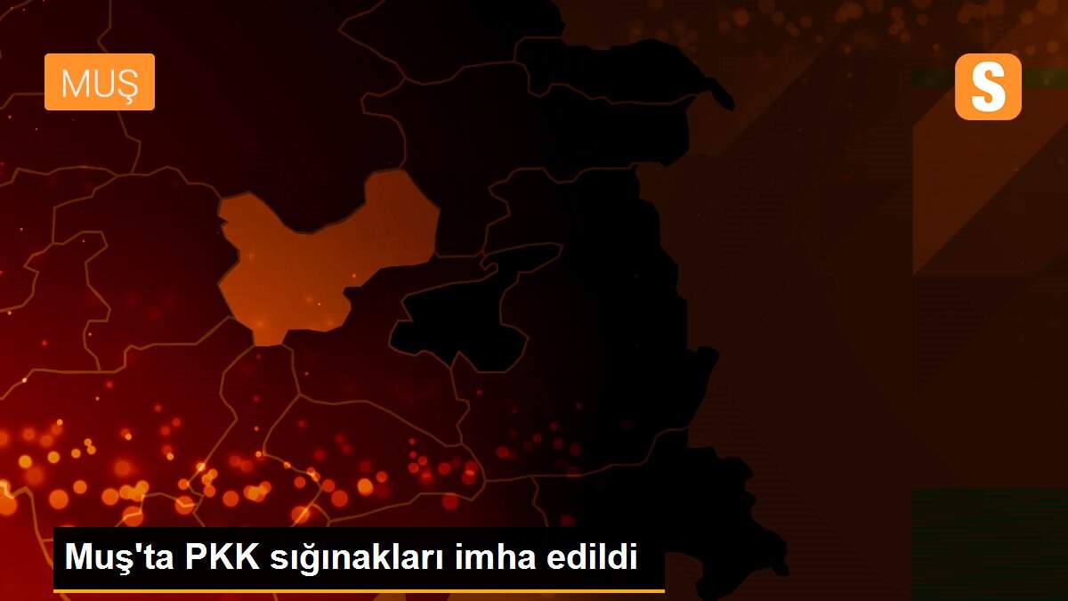 Muş\'ta PKK sığınakları imha edildi