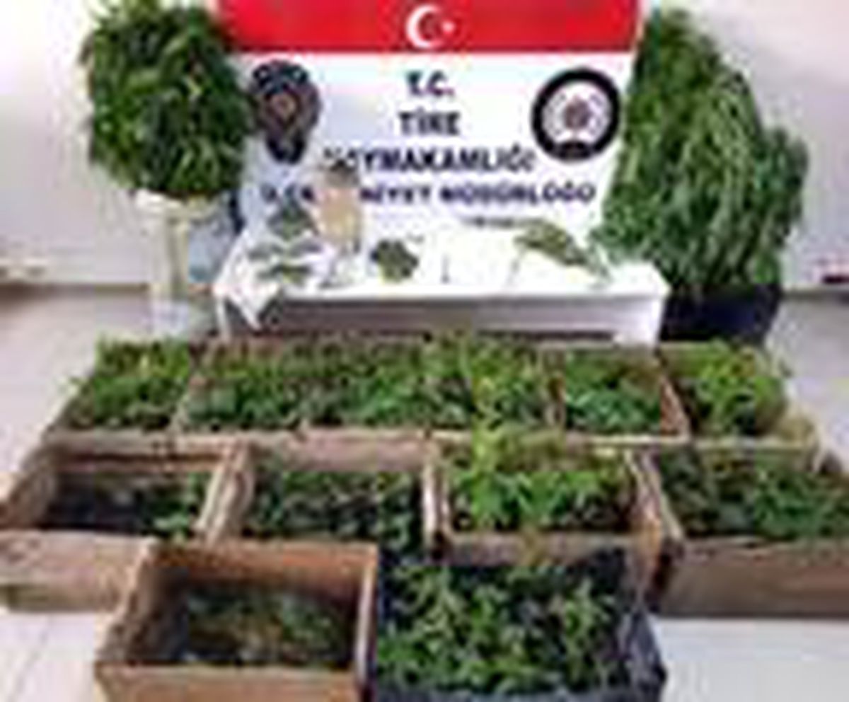 Tire\'de uyuşturucuya 2 gözaltı