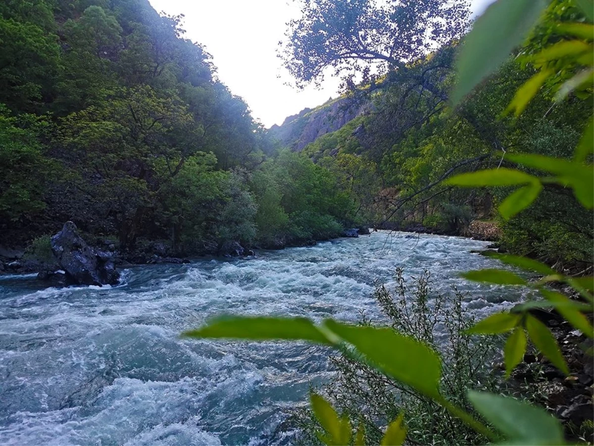 Huzur veren vadi, Munzur\'da ilkbahar güzelliği