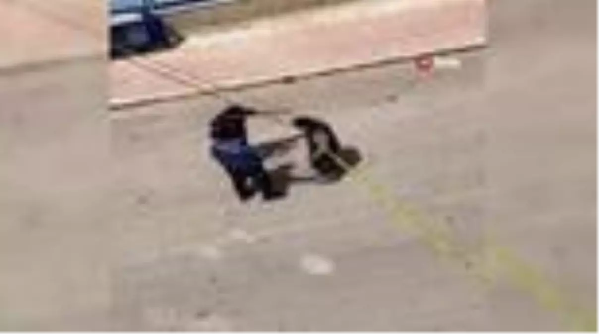 Karantina bölgesinden çıkmak isteyen adamın sosyal mesafe ihlaline polisten güvenlik şeritli çözüm