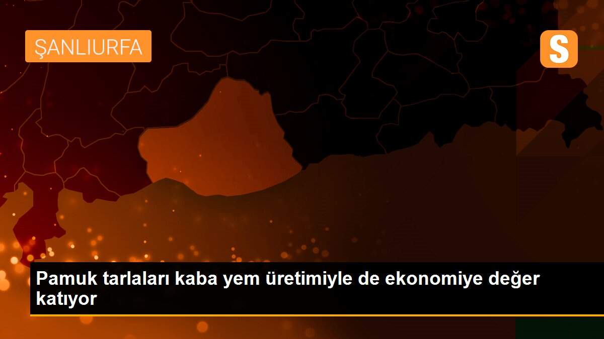 Pamuk tarlaları kaba yem üretimiyle de ekonomiye değer katıyor