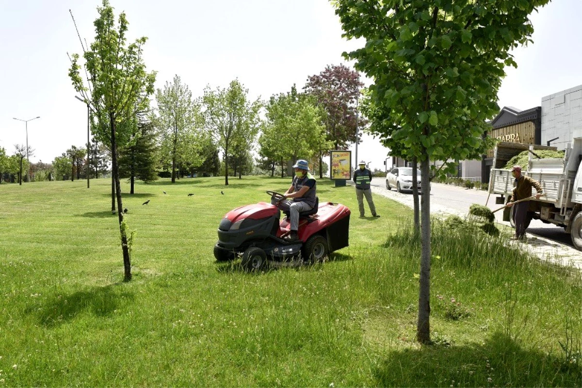 Parklarda çim biçme çalışması