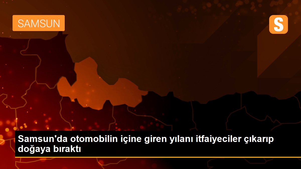 Samsun\'da otomobilin içine giren yılanı itfaiyeciler çıkarıp doğaya bıraktı