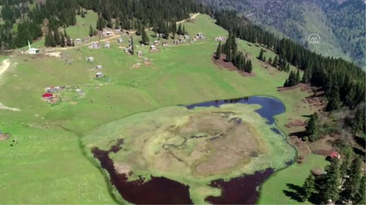 Sakinlerinin "bir çuval altına değişmediği" yayla: Gölyanı