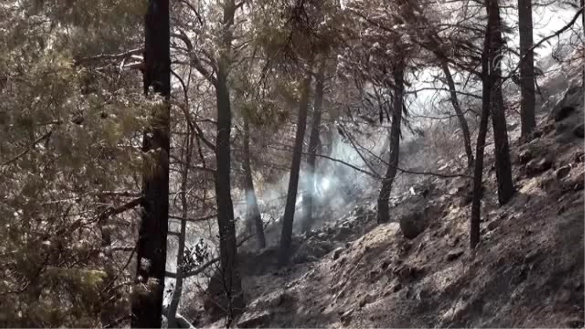 Silifke\'deki orman yangını kontrol altına alındı