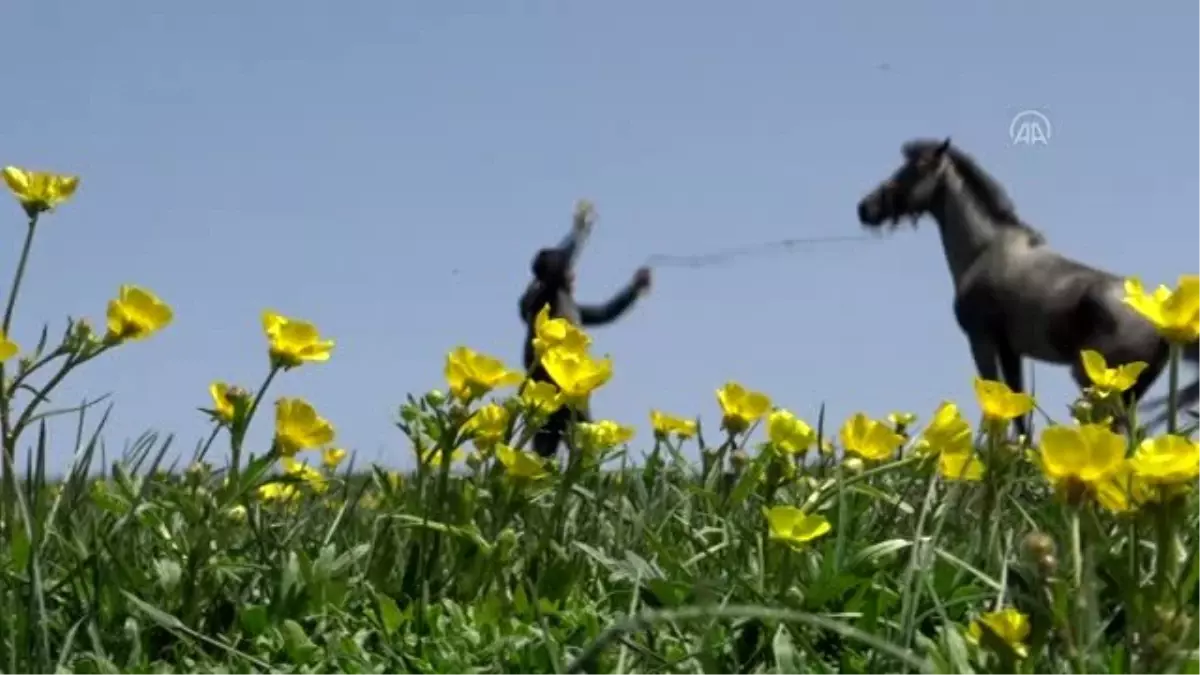 Karlar eriyip çiçekler açınca yaylalar rengarenk oldu