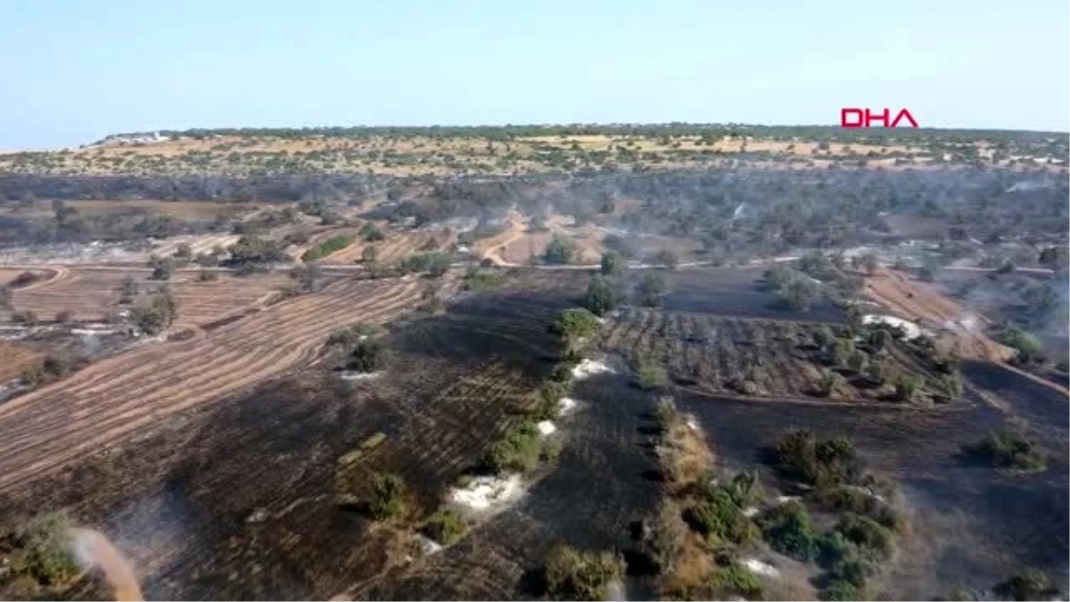ÖZEL-KKTC\'de yangın kontrol altında: Türkiye\'den helikopter gönderilmesi ODTÜ Kuzey Kıbrıs\'ın kül...