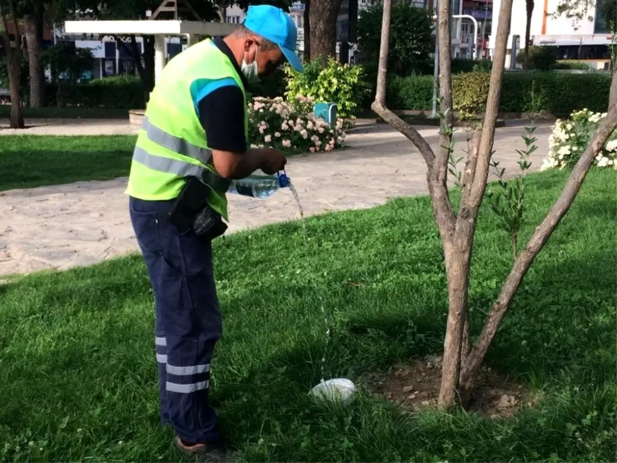 Sokak hayvanları unutulmadı