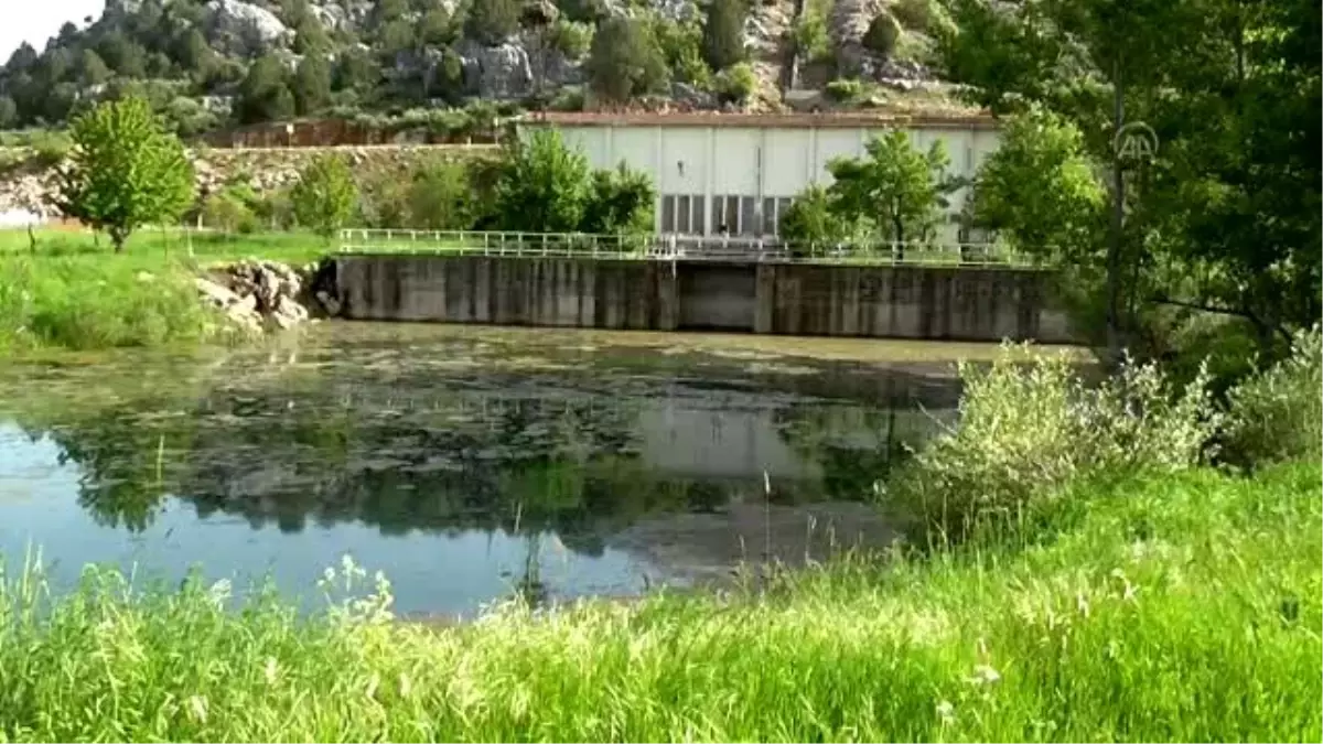 Beyşehir Gölü kenarındaki atıl sulama pompa istasyonunda toplu balık ölümü