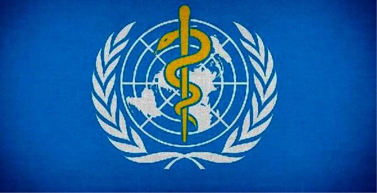 DSÖ\'ye uluslararası \'koronavirüs\' soruşturması kararı