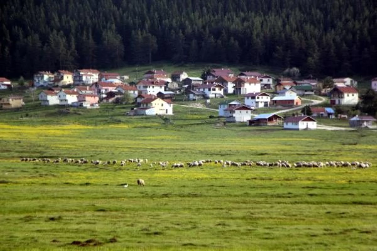 Sarıalan Yaylası güzelliğiyle hayran bırakıyor