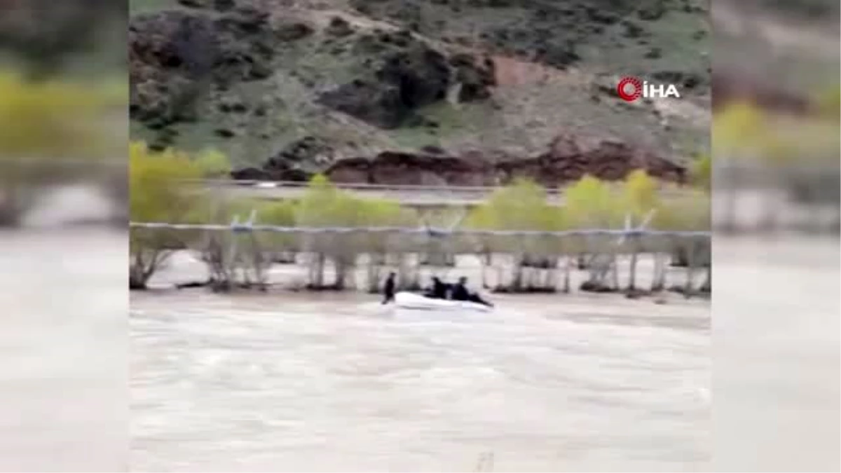 Aras Nehri\'ne düşen danayı AFAD ekipleri böyle kurtardı