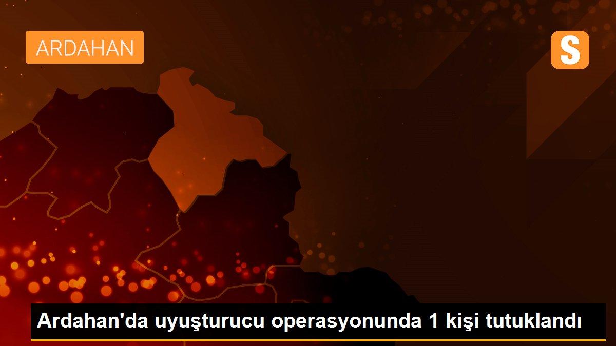 Ardahan\'da uyuşturucu operasyonunda 1 kişi tutuklandı