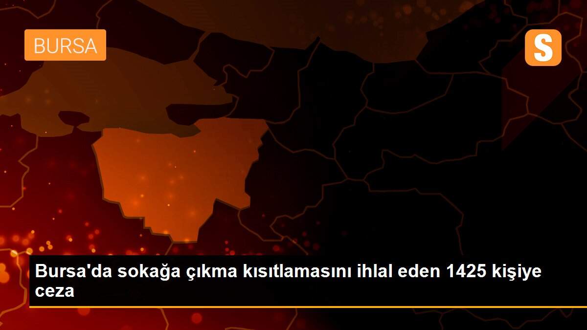 Bursa\'da sokağa çıkma kısıtlamasını ihlal eden 1425 kişiye ceza
