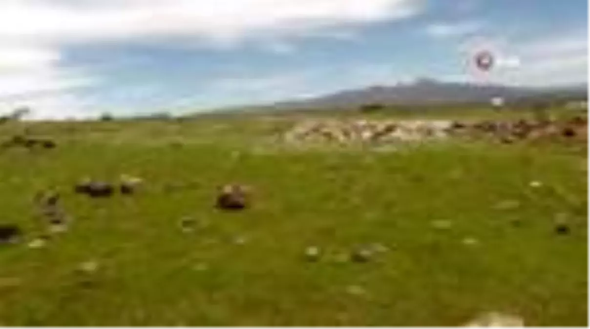 Erciş, galericiler sitesine kavuşuyor