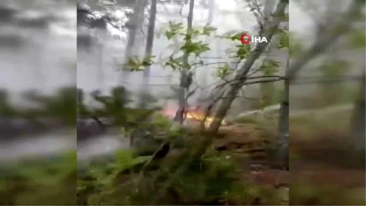 Kütahya\'daki orman yangınında 50 hektarlık alan zarar gördü
