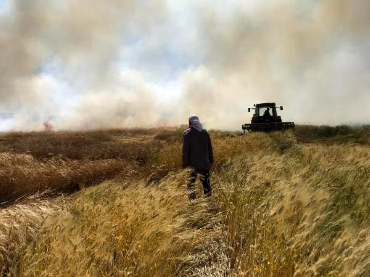 Mardin\'de, buğday ekili 30 dönüm alan yandı