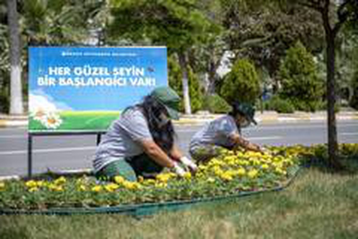 Mersin çiçek açıyor