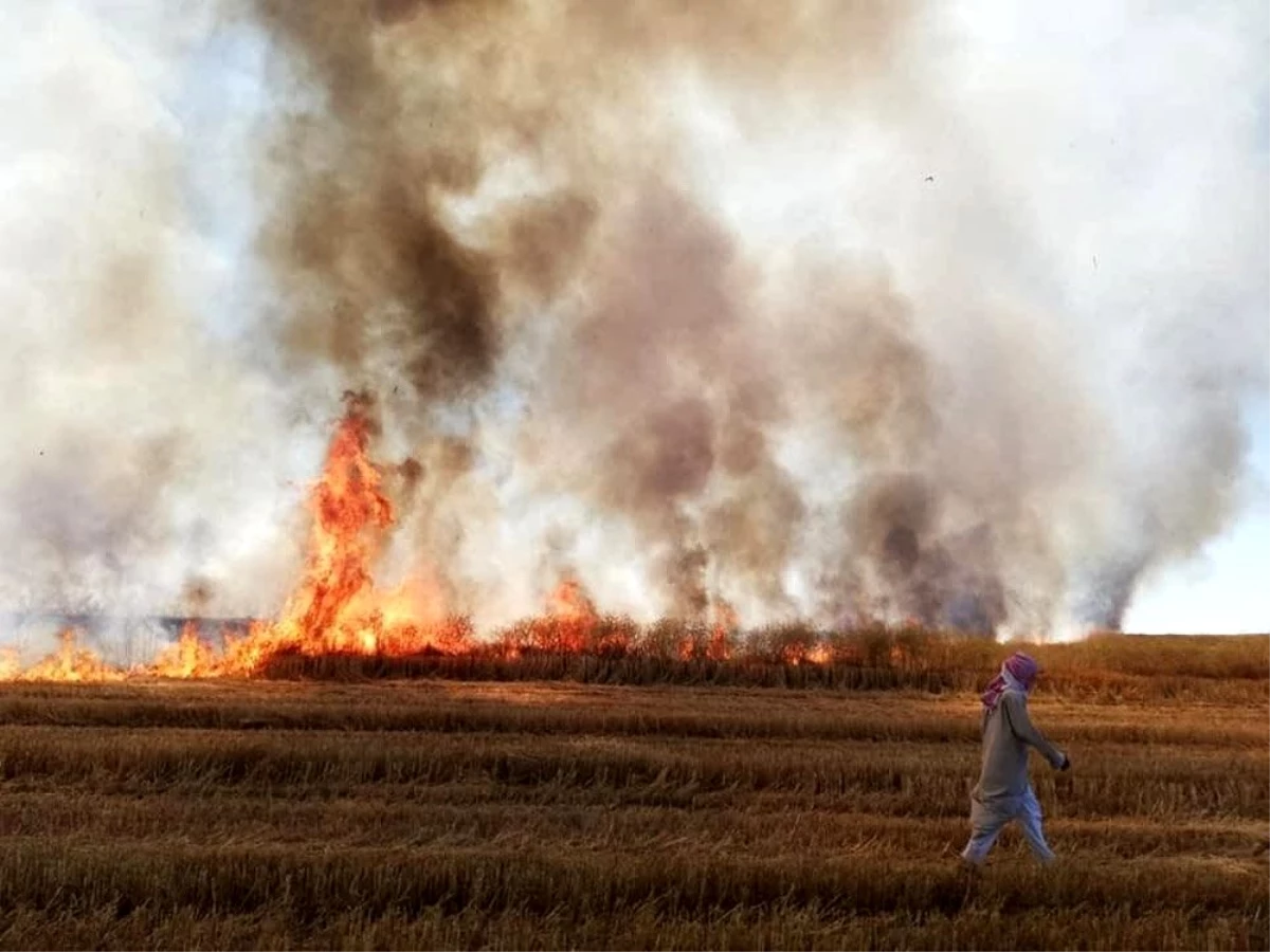 YPG/PKK Deyrizor\'da sivillerin tarım arazilerini yaktı