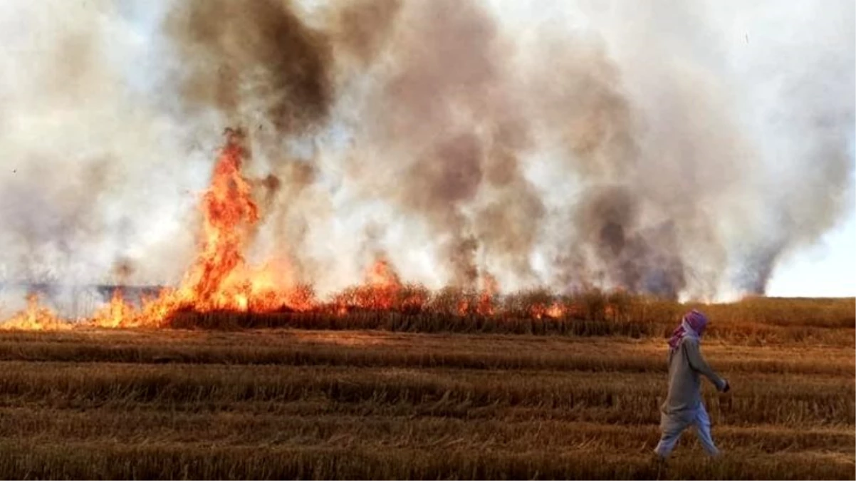 YPG/PKK\'lı teröristler, Deyrizor\'da sivillere ait tarım arazilerini yaktı